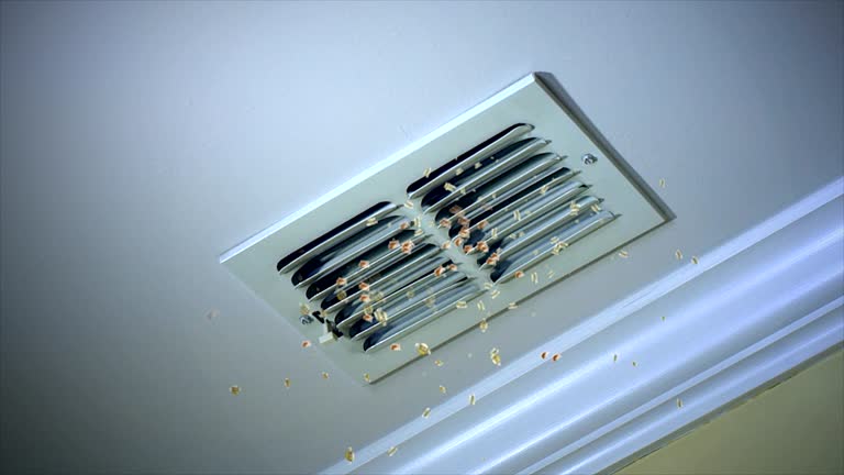 Best Professional Duct Cleaning Services  in East Palestine, OH